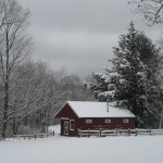 IMG_4345