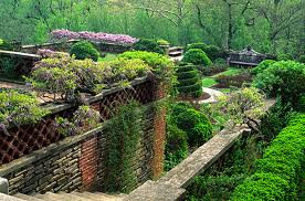 Dumbarton Oaks, terrace view