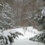 liza snowstorm