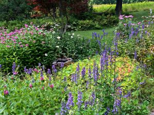 The sun garden in August