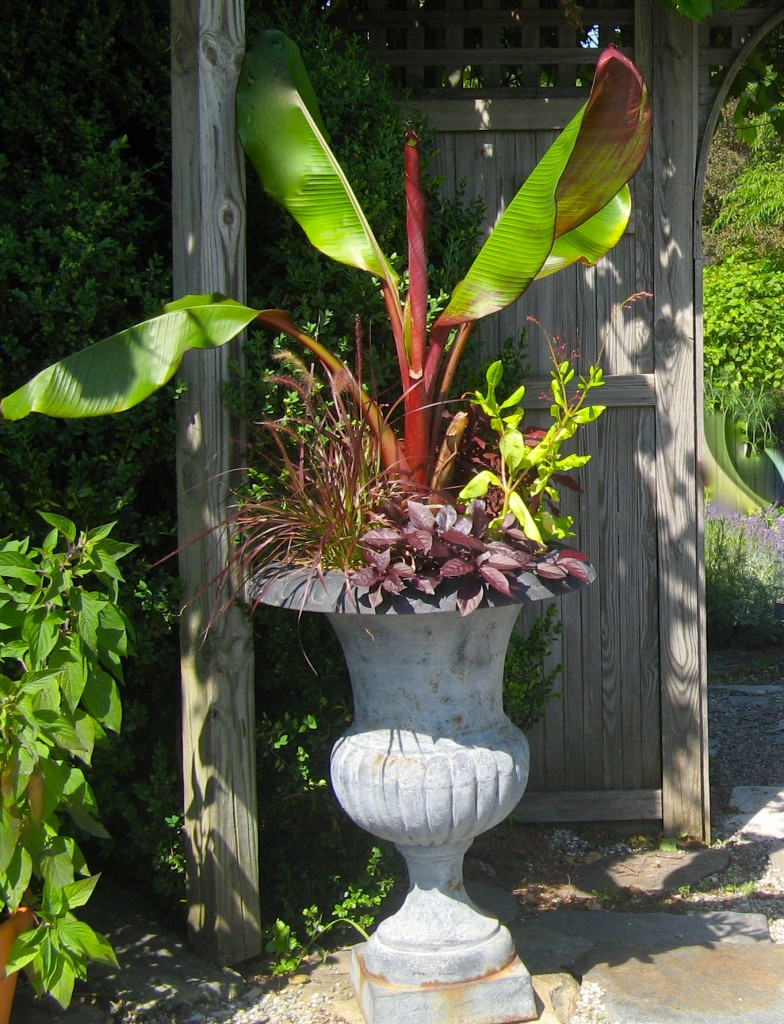 "Contained Exuberance" at the Berkshire Botanical Garden