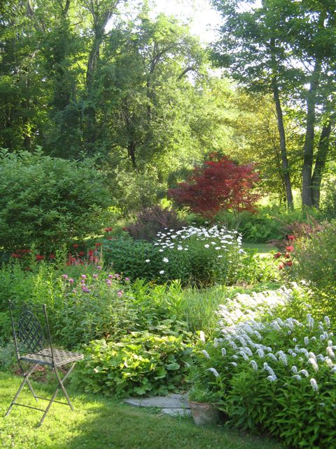 Garden at its height